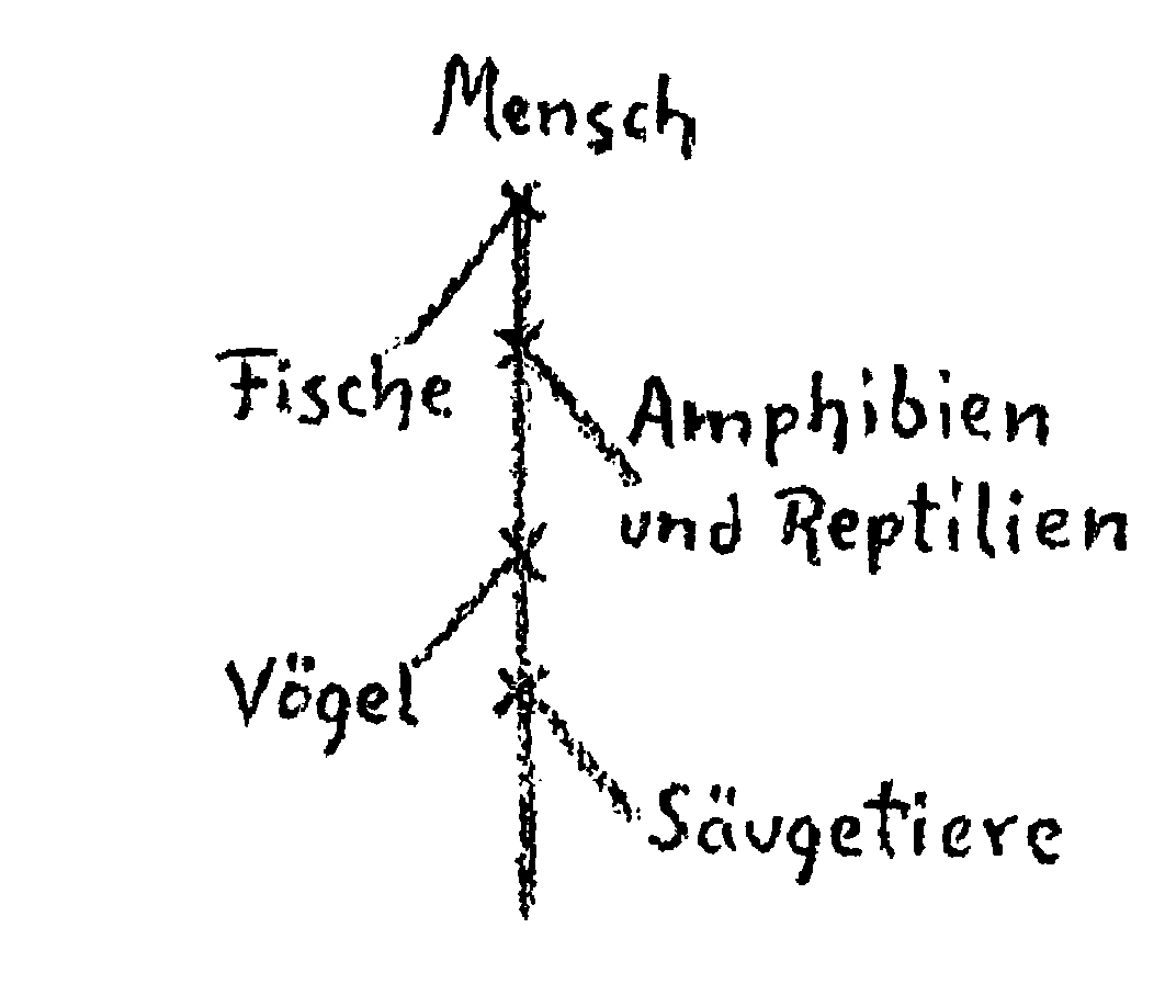 Section photo 1