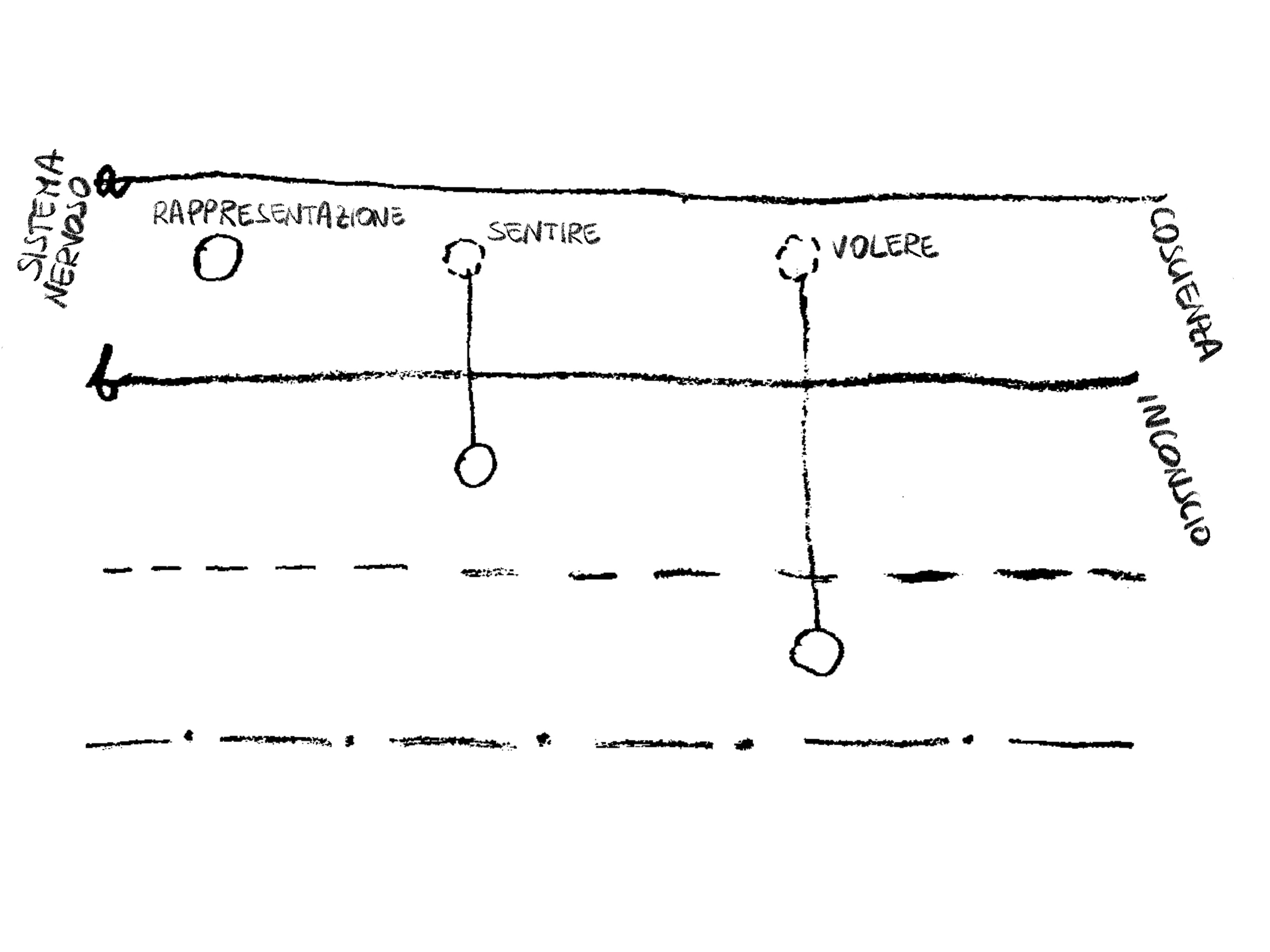 Section photo 1