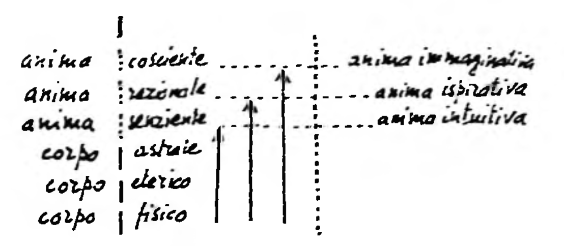 Section photo 1