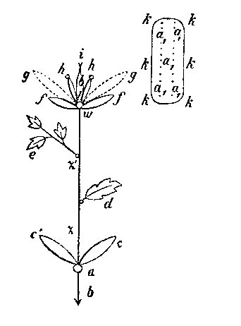 Section photo 1